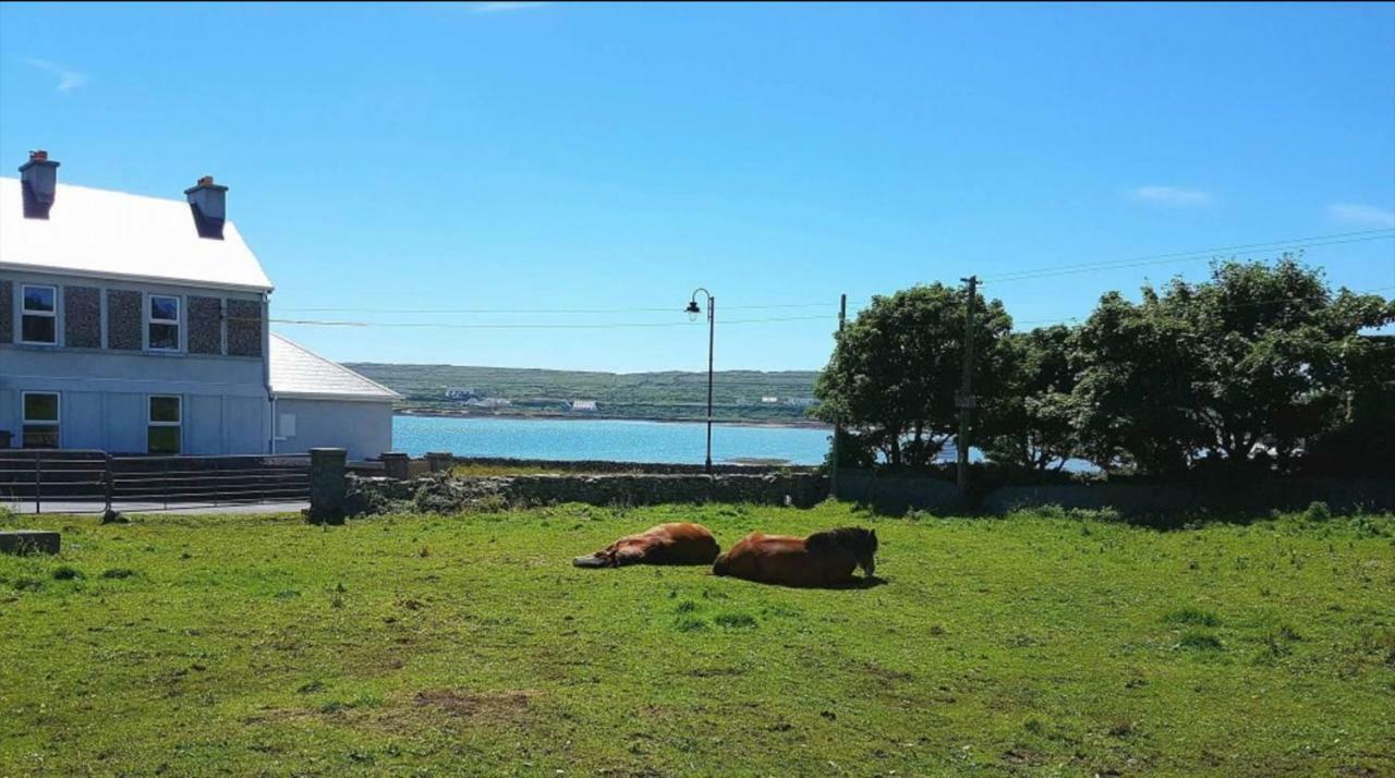Seacrest B&B Kilronan  Eksteriør bilde